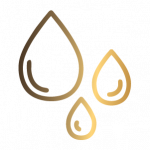 LANDING PAGE CAMPOS2_icon_04 LANDING PAGE CAMPOS2_icon_04